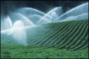 Fab water engineering supply irrigation products for most agricultural requirements. We supply well known American brands as well as local products.