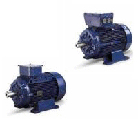 We supply a wide range of AC & DC Electric Motors, contact us for more information on our wide range of Electric motors.