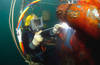 Motorised Zoom Lens Helps Improve the Quality of Underwater Welding
